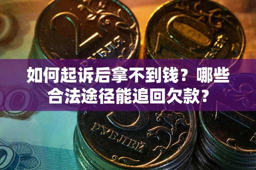 武汉如何起诉后拿不到钱？哪些合法途径能追回欠款？