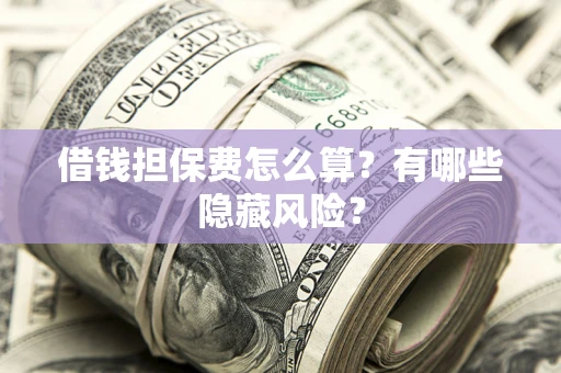 武汉借钱担保费怎么算？有哪些隐藏风险？