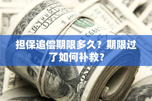 武汉担保追偿期限多久？期限过了如何补救？