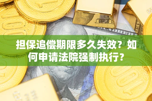 武汉担保追偿期限多久失效？如何申请法院强制执行？