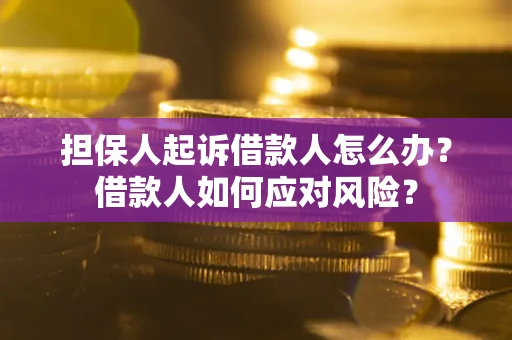 武汉担保人起诉借款人怎么办？借款人如何应对风险？