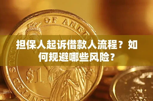 武汉担保人起诉借款人流程？如何规避哪些风险？