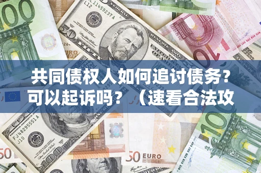 武汉共同债权人如何追讨债务？可以起诉吗？（速看合法攻略）