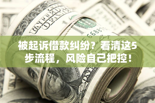 武汉被起诉借款纠纷？看清这5步流程，风险自己把控！