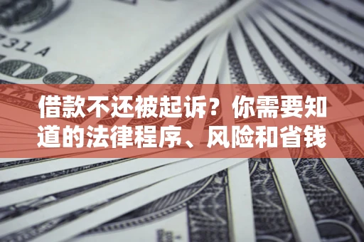 武汉借款不还被起诉？你需要知道的法律程序、风险和省钱技巧
